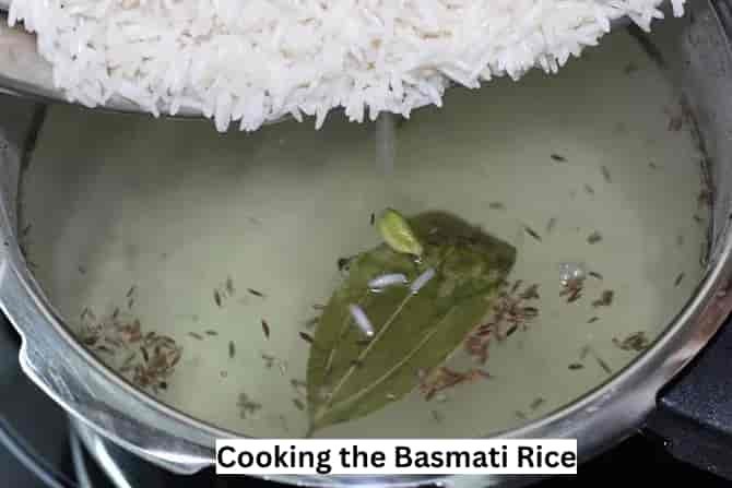 Hyderabadi Chicken Dum Biryani
